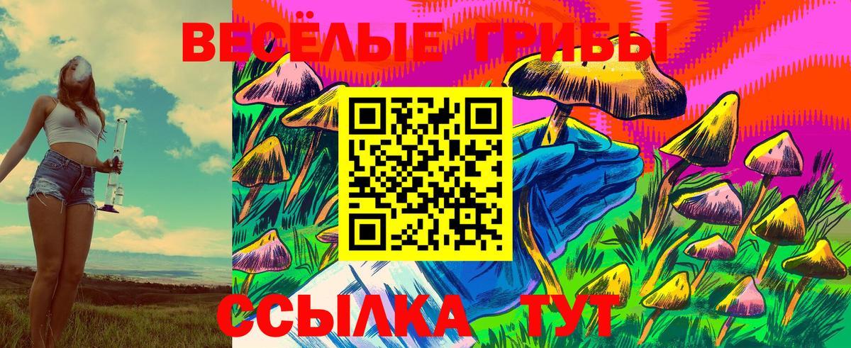 Галлюциногенные грибы ЛСД  Псилоцибиновые грибы Magic Shrooms  где купить наркоту  Армавир  Вход с VPN 