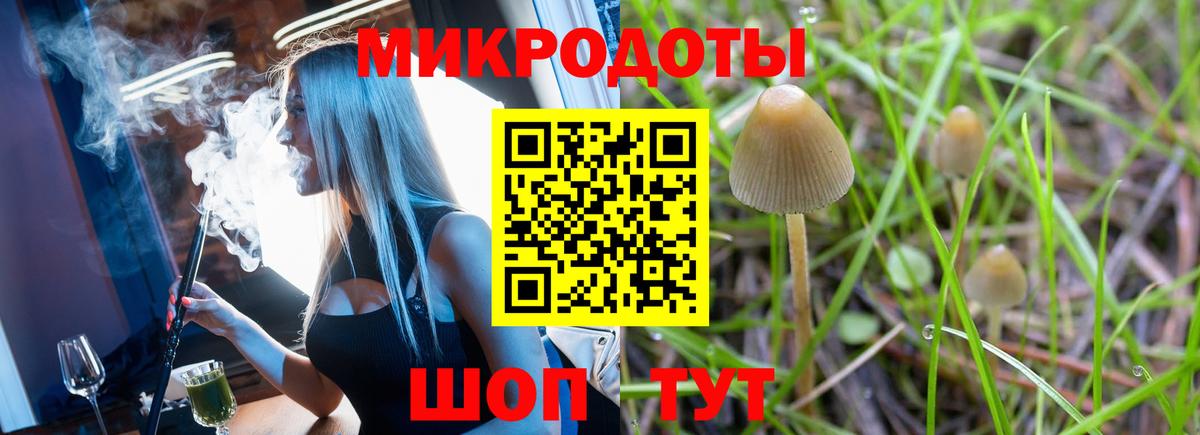 Псилоцибиновые грибы MAGIC MUSHROOMS Армавир